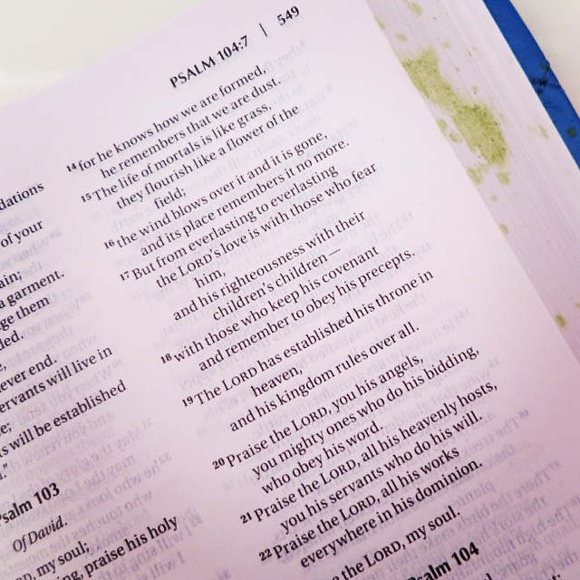 Love this little Bible so much, I spilled green juice all over it!  At least none of the words are obstructed!! Never thought I would combine my two passions quite like this! #wellworniswellloved #oops #wellness and #theWord