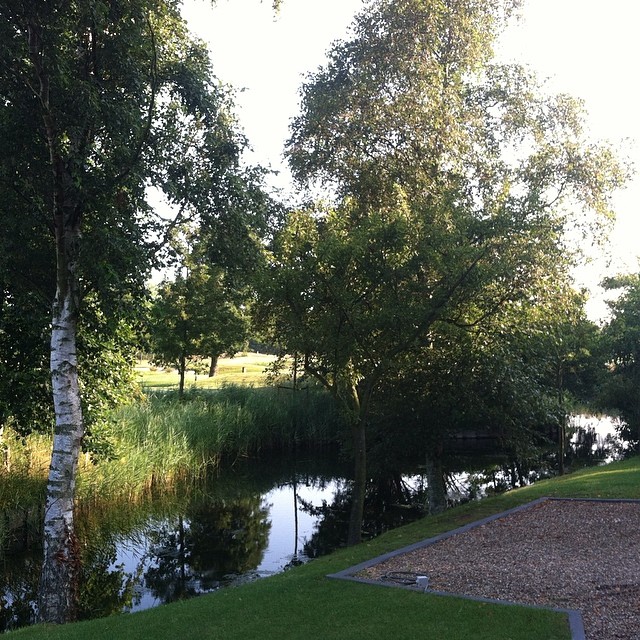 Morning walk #bliss #nofilter #netherlands ️️