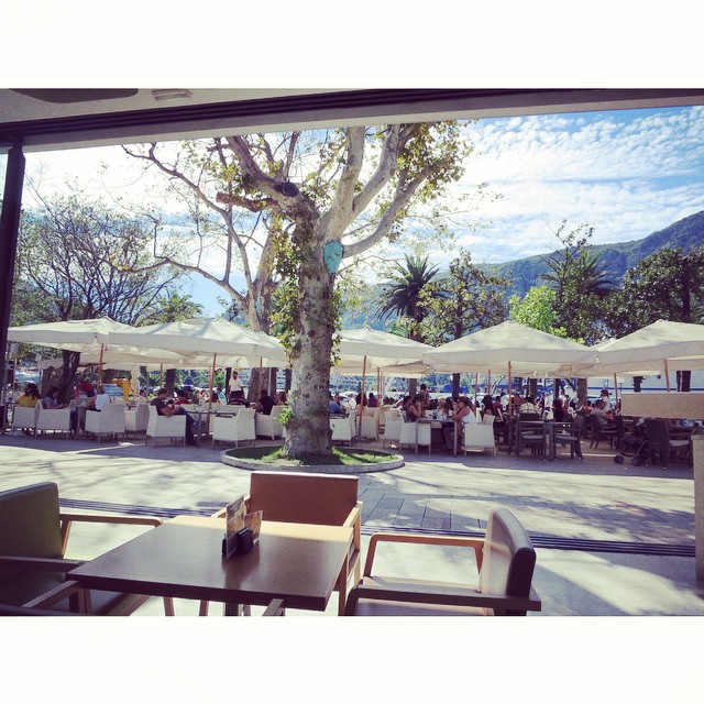 The most gorgeous and chic little cafe outside the old city in Kotor, from our day trip to Montenegro yesterday #cafelife #Montenegro #summerofadventure