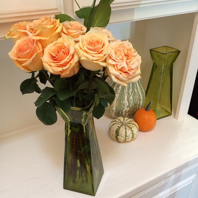 Somebody who knows I love #fall grabbed me some #pumpkin #colored #roses while he was out running moving errands ️ sweet, sweet #husband #bekindtoeachother