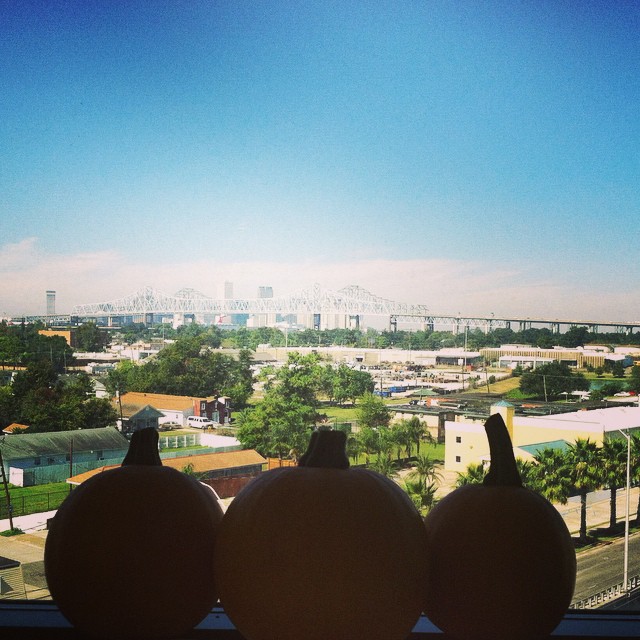 Three little pumpkins I have been dragging around to our various hotels in order to feel like it’s ‘fall at home’ lol! They’re like my gnome!  Goodbye, New Orleans! Dallas, here we come! #travel #pumpkins #fall #NewOrleans #skyline #thisisstartingtofeelliketheautumnofadventure…