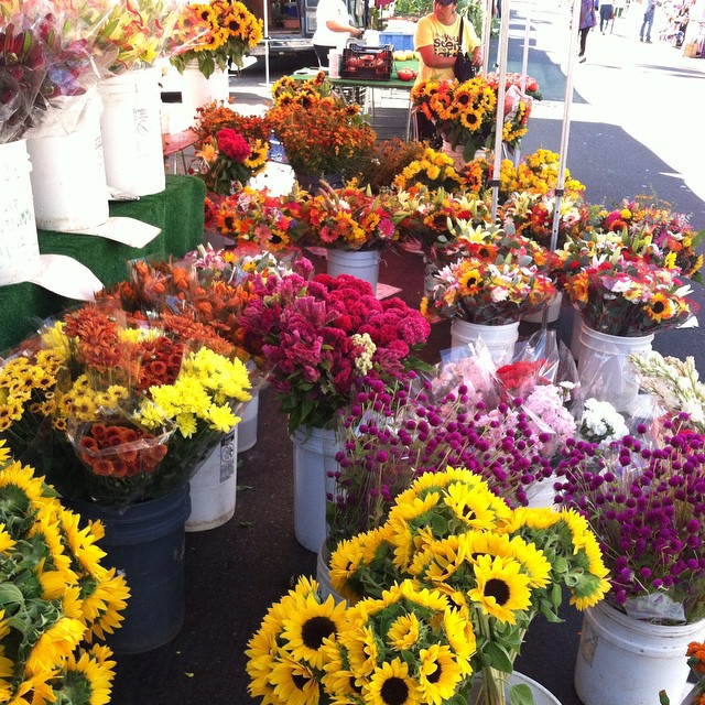 #Market research on the #colors of the #season  #autumn #fall #flowers #farmersmarkets #cali