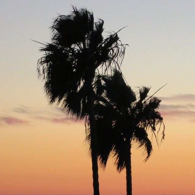 #cali #sunset – #Godisanartist ️