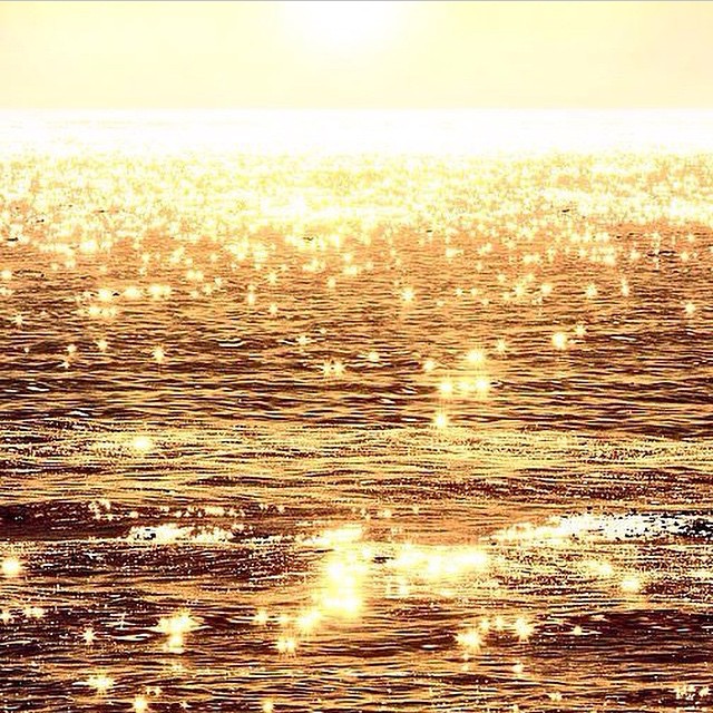 #Gorgeous #glittering #gold #sea ️ Even the #ocean gets in the #Christmas #spirit!!